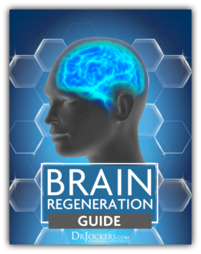 The Brain Regeneration eGuide