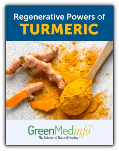 Regenerative Powers of Tumeric eBook