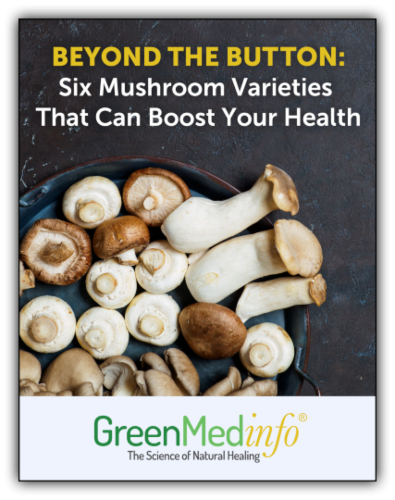 Beyond the Button: Six Mushroom Varieties That Can Boost Your Health eBook